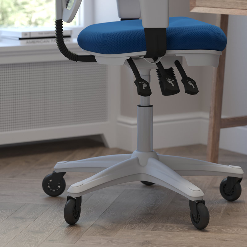 Chaise ergonomique , Bleu, Blanc