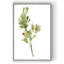 «Earthtone Herbs I», peinture sur toile-1127118300-1127117564