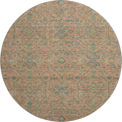 Premium Machine Washable Ducote AMF1131 Global Rug