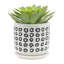 Jardinière aztèque 5/6 po avec soucoupe, noir