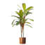 Artificial Realistic Palms Faux Moss Tree in Metal Planter-600229147