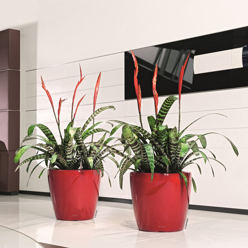 Classico Pot Planter, Scarlet Red