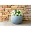 Pot à fleurs-33045190-33045187