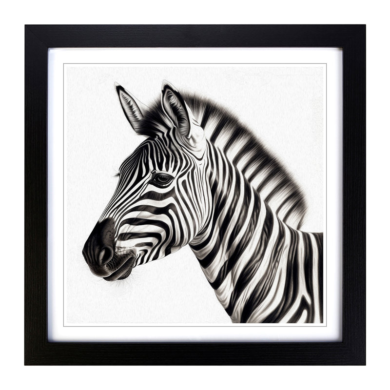 Zebra Drawing - Framed Print, Black Framed