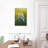 Budgie Siesta-725918904