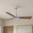 Alessandra 42'' Ceiling Fan-1421734437-1421734365