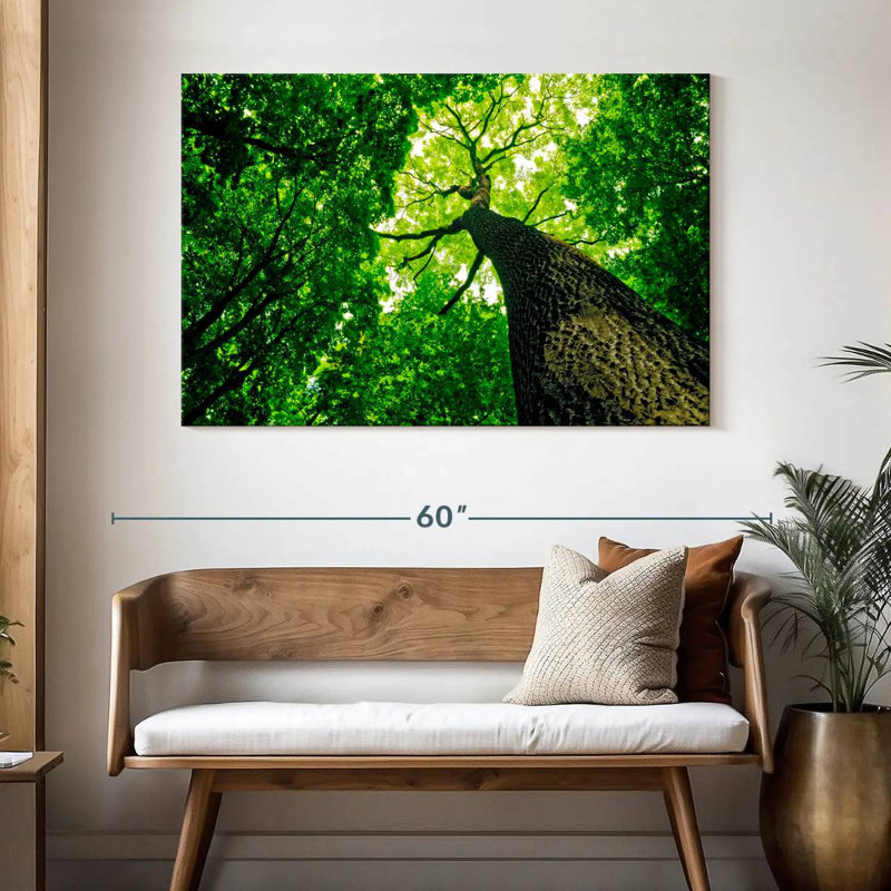 Harnek Forest Tree Canopy, 32" H x 48" W
