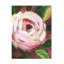 Bolognaise «Pixel Rose II»-98391111