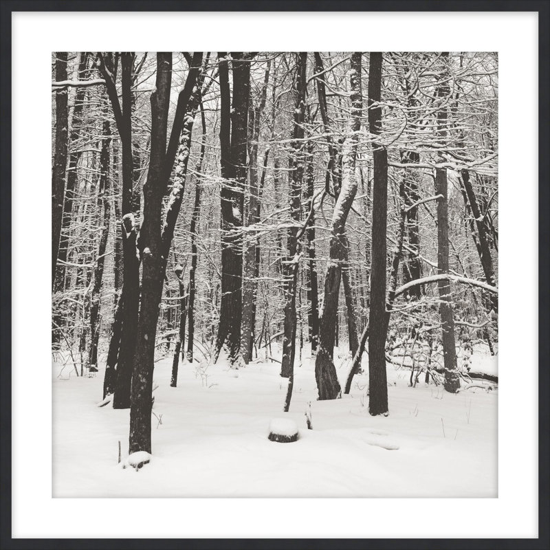 «Snowscape 5», reproduction d'art encadrée, H 30 cm x l 20 cm