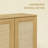 NTC MOSSIC 2 Door Storage Cabinet, Solid Wood Rattan Accent Cabinet, Modular Sideboard Cabinet, Expandable Storage System for Living Room & TV Stand, Easy Assembly, Sand-1122265558