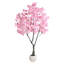Plant-380696458