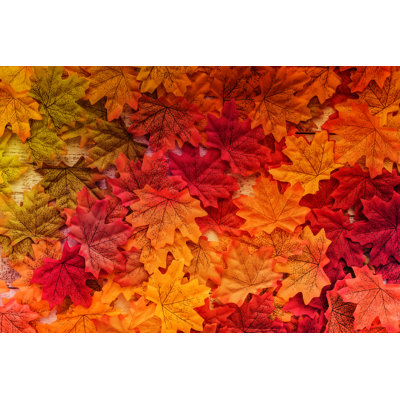 Feuille d'automne sur toile par Whyframestudio, photographie