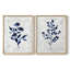 Reproduction encadrée Wild Indigo I-Premium - prêt à être accroché - aucun clou requis - aucun clou requis-1086682916-1086682939