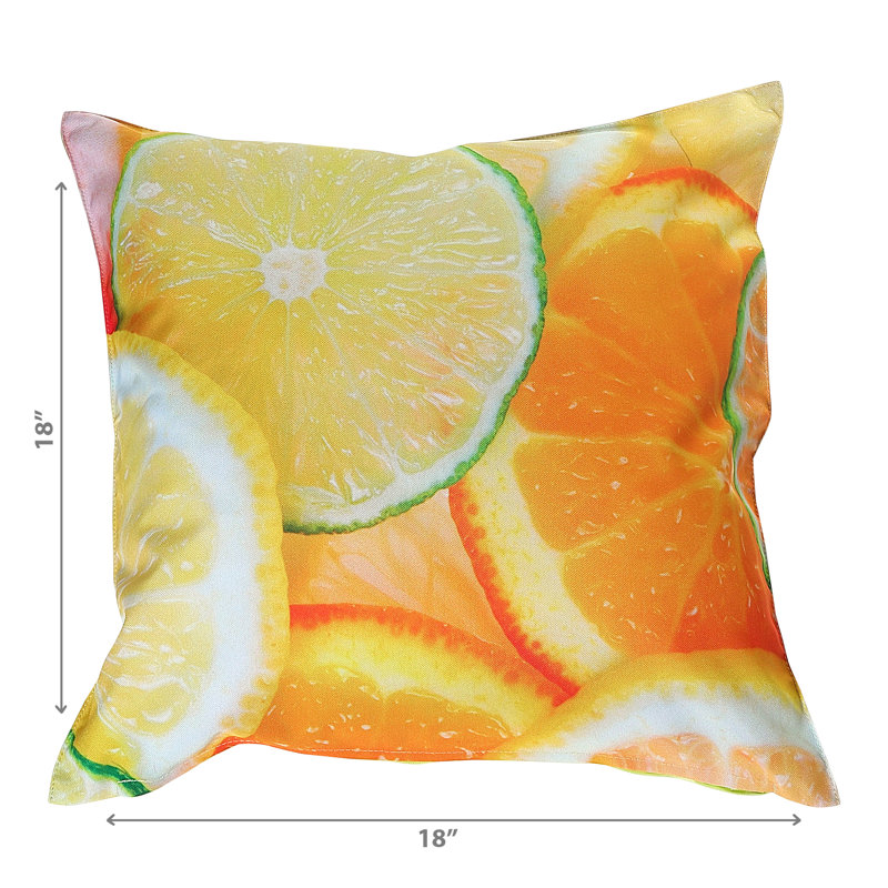 Outdoor Throw Pillow