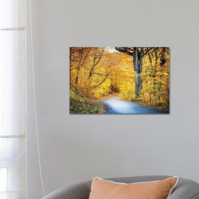 Autumn's Embrace On 3 Mile Drive - Wall Art Print - Wrapped Canvas