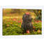 «Autumn in Japon XXVII», reproduction d'impression sur toile-31293070-73199400-73199405