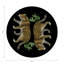 Leopard Seeing Double Vegan Leather Round Coasters-106731601