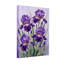 Plantes et fleurs fleurs d'iris mauves sur fond lavande