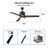 52'' Ceiling Fan with LED Lights-613550853-613550906