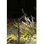 Spiky LED Pathway Light