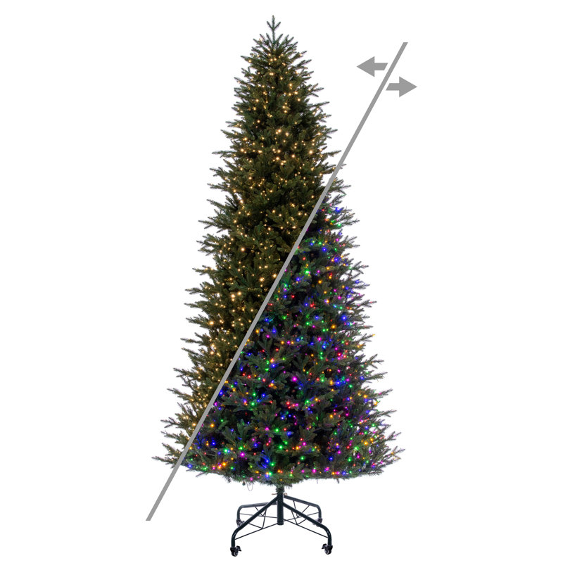  Sapin de Midwest 12 pi x 67 po 3mm 3600CC, 12 pi x 67 po, Lumières DEL