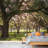 Oak Tree Branch With Farm Fence In The Rural Countryside-88769662