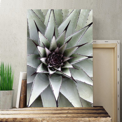 Green Succulent Cactus Photographic - Wrapped Canvas