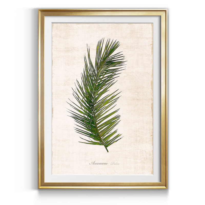 Palm Botanical II - Reproduction d'art graphique sur papier encadré, H 18,5 po x l 24,5 po x P 1,5 po, Doré