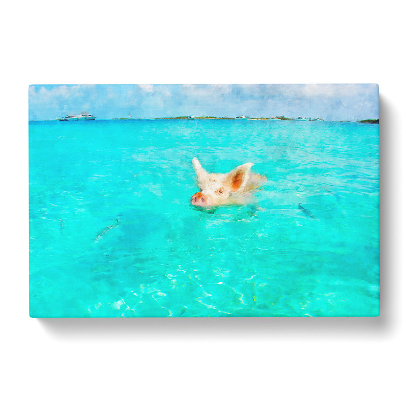 Swimming Pig - Wrapped Canvas Print, 35cm H x 76cm W x 3cm D