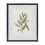 Cadre flottant avec feuilles et herbes fraîches, design par Diannart-368168579-368168639