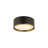 Hafner Flush Mount-1233285893