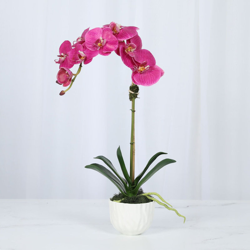 Silk Orchid Plant In White Vase, White, Pink