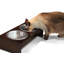 Mangeoire surélevée pour animaux de compagnie-30992007