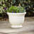 14" Jean Pierre Planter, Brownstone (2 Pack)