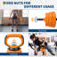 Ensemble d'haltères réglables 4 en 1, ensemble de poids de 66 lb utilisés comme haltères, haltères, kettlebells et support à pousser, équipement de gymnastique à domicile pour hommes, femmes