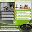 Ensemble de 2 distributeurs d'huile d'olive en verre 12 oz, or