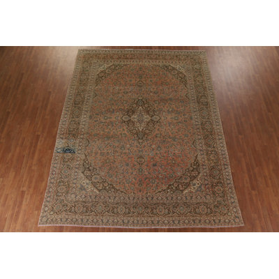 Traditional   Area Rug 10x12