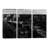 Grand Canyon National Park " Grand Canyon National Park XII " by Ansel Adams-1824435728-1777943418-1777943421