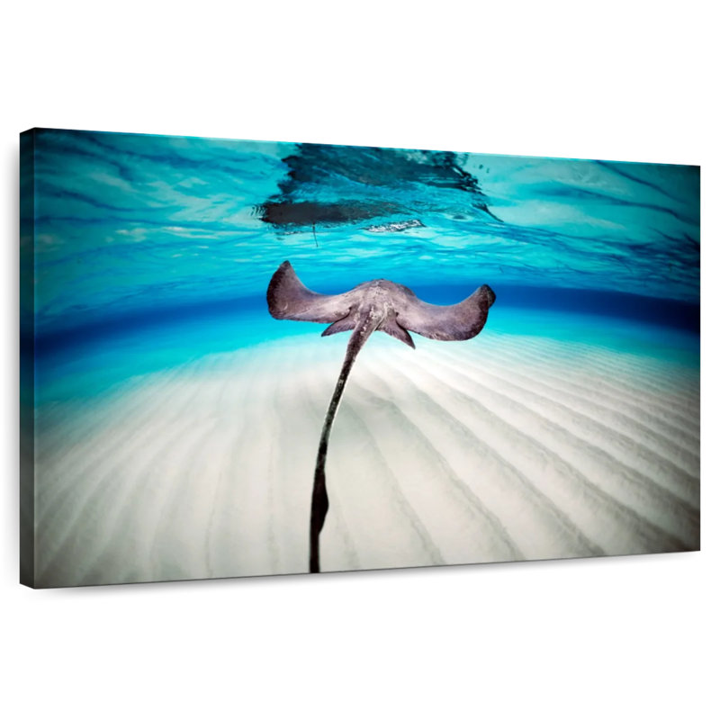 Brampt Stingray Underwater Scenery, 20" H x 30" W