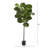 Faux Fiddle Leaf Fig Tree in Pot Liner-884255498