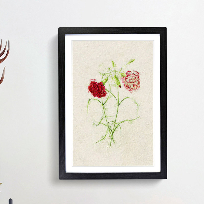 Illustration of Pink Carnation Flowers - Picture Frame Painting Print, 48cm H x 36cm W x 2cm D, Black Framed