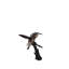 Bronze Hummingbird on Branch Sculpture