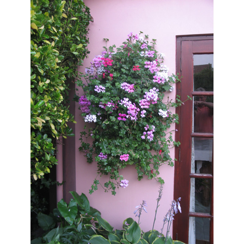 Pot de fleurs mural en plastique Penman