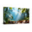 Paysage et nature Rainbow Forest-1263253364