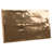 Viva 6 in. x 12 in. Ceramic Wall Tile