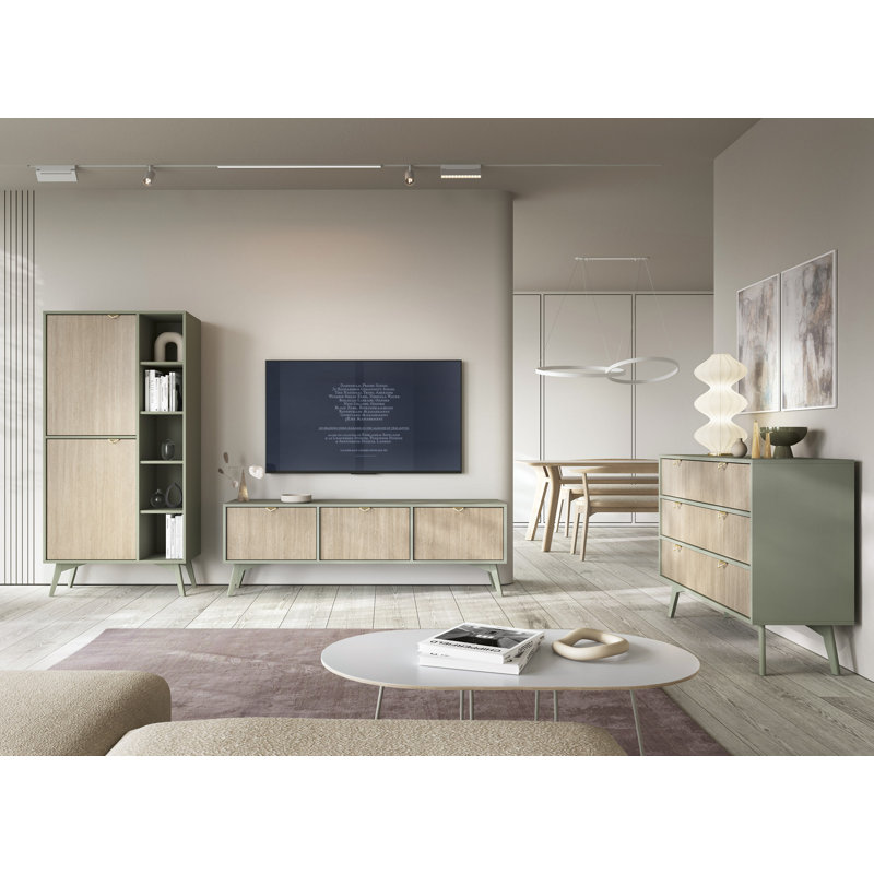 Agawam TV Stand for TVs up to 65", Light Sage/Oak Scandi