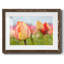 Sorbet printanier-474966850-474966909