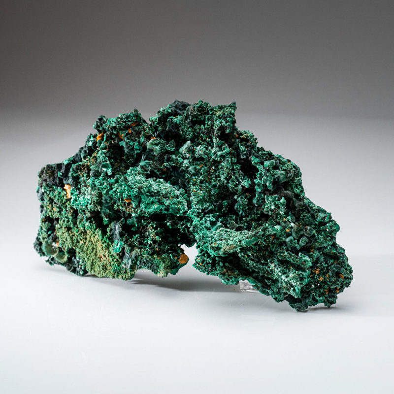 Malachite from Shaba Copper Belt, Katanga (Shaba) Province, Democratic Republic of the Congo (Zaire)