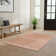 Dakota Fields Burrillville Machine Washable Copper Bohemian Indoor Rug