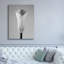 «Calla No. 1» par PhotoINC Studio-1726712591